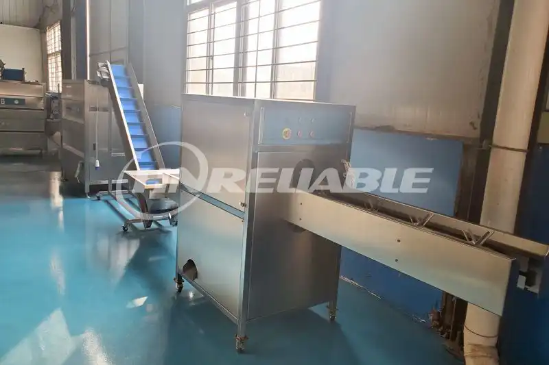 Frozen Onion Dicer Processing Line